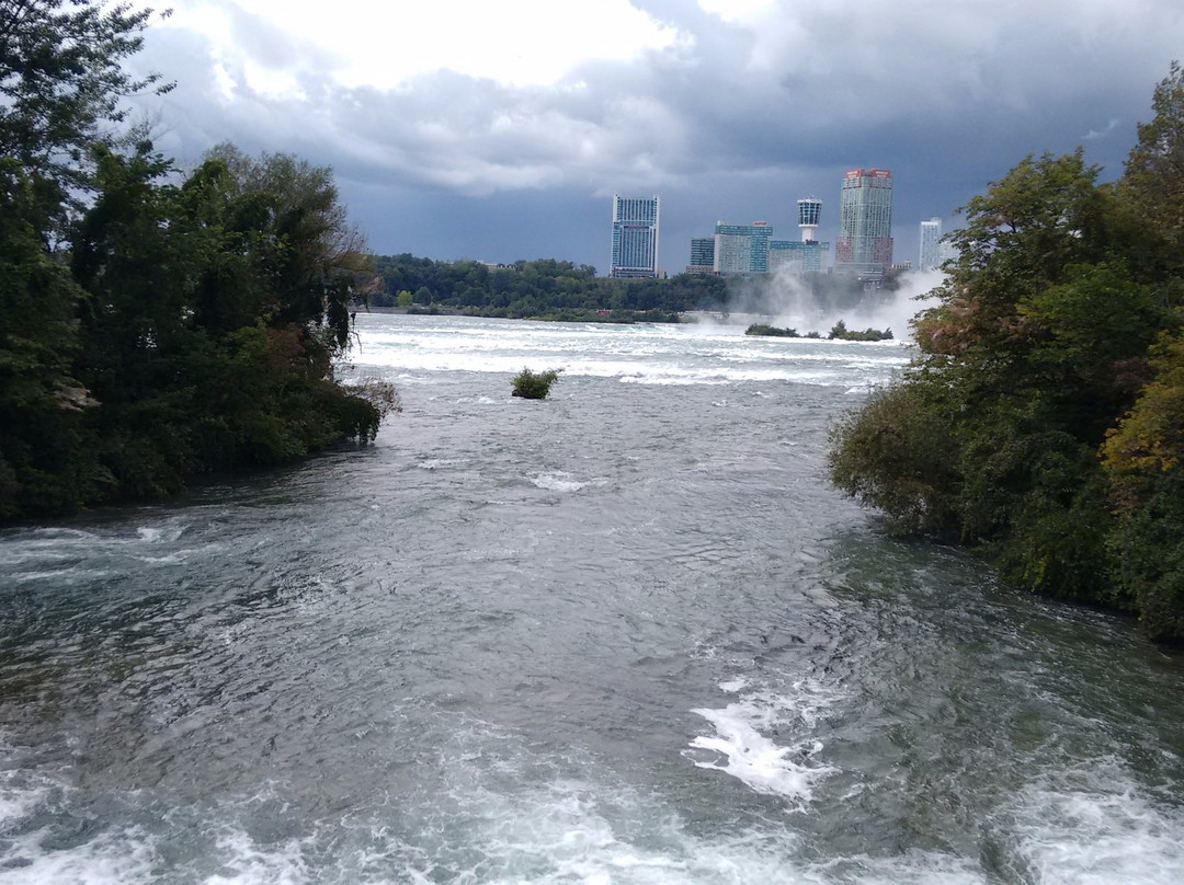 Goat Island-尼亚加拉大瀑布必去景点