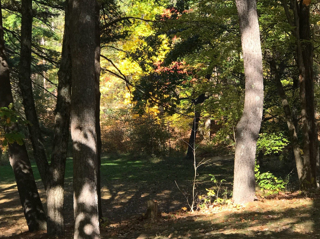 Townsend Park景点图片