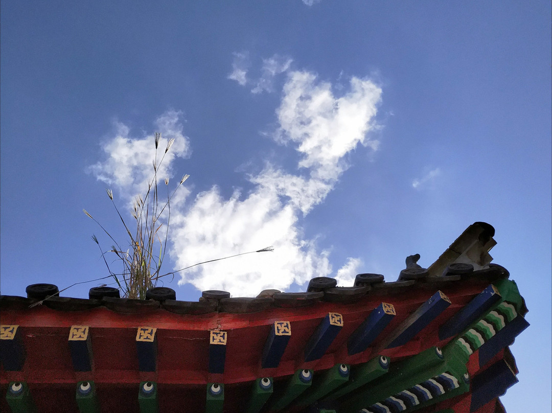 青岛即墨天井山-即墨市必去景点