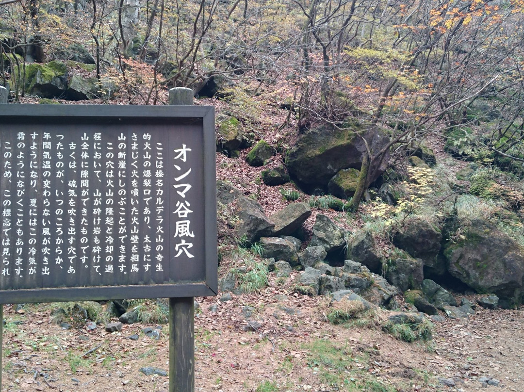 Ikaho Shinrin Park景点图片