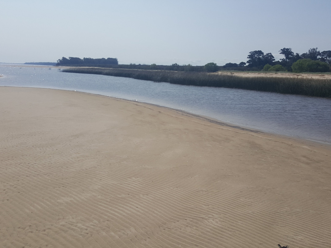 Cabalgatas Ikebana Colonia-科洛尼亚·德尔萨克拉门托城必去景点