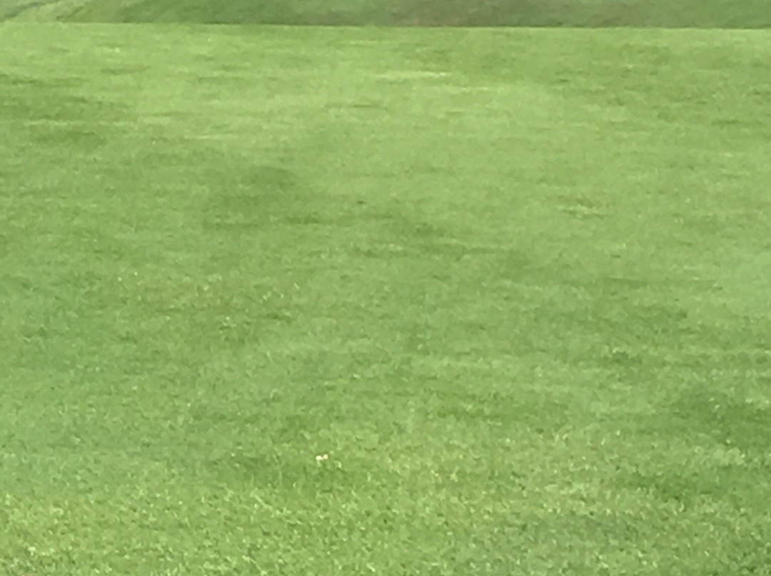 Tangle Creek Golf & Country Club景点图片
