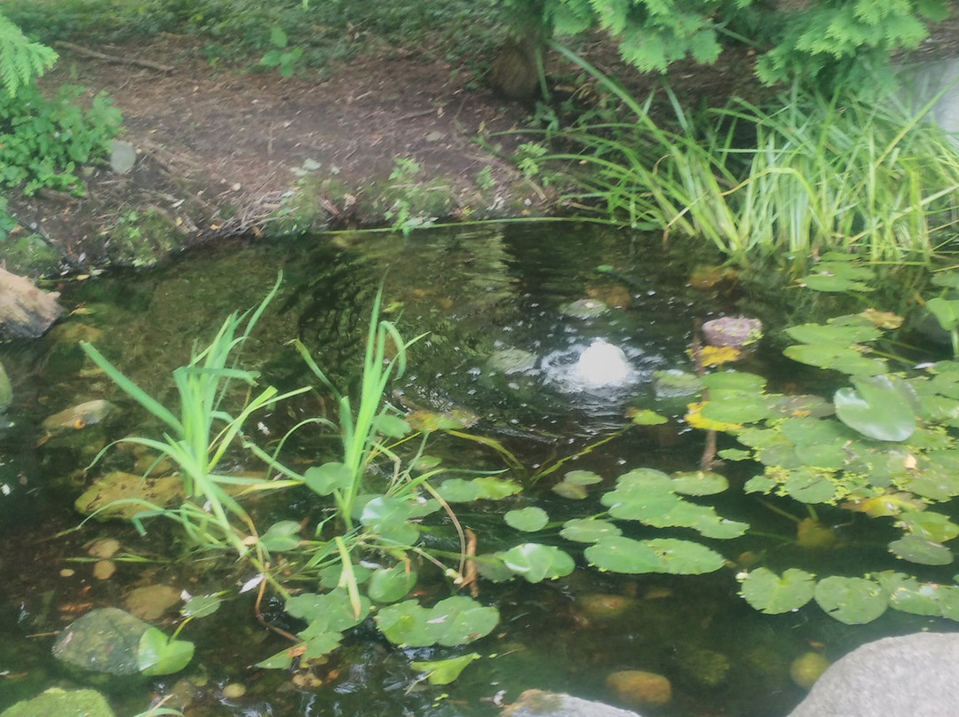 University of Guelph Arboretum-贵湖必去景点