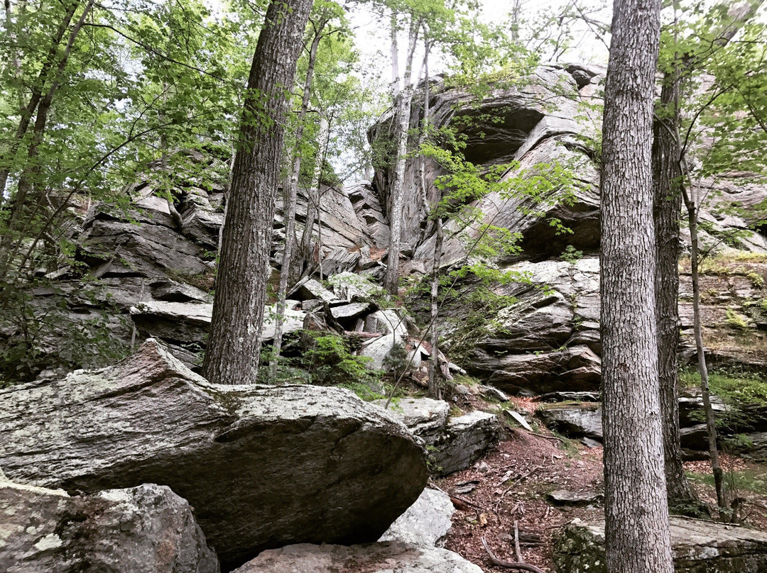 Snake Den State Park-Johnston必去景点