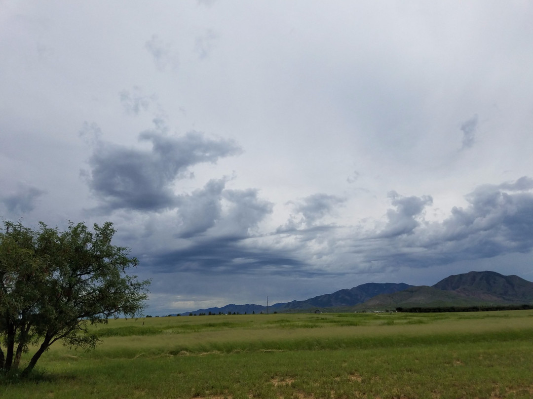 Golden Rule Vineyards-Cochise必去景点