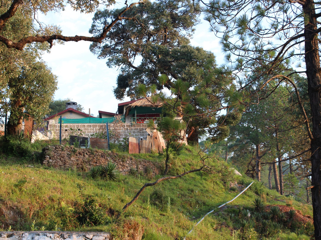 Garhwali Mess景点图片