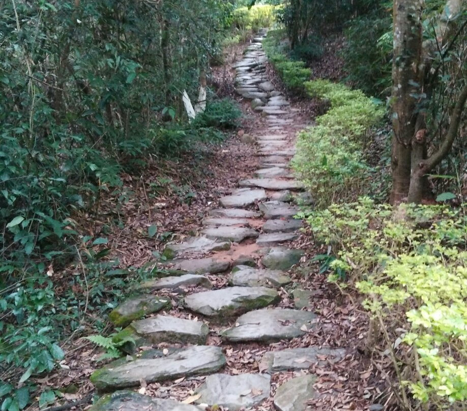 思茅茶马古道-普洱市必去景点