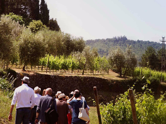 Verona Faberest-维罗纳必去景点