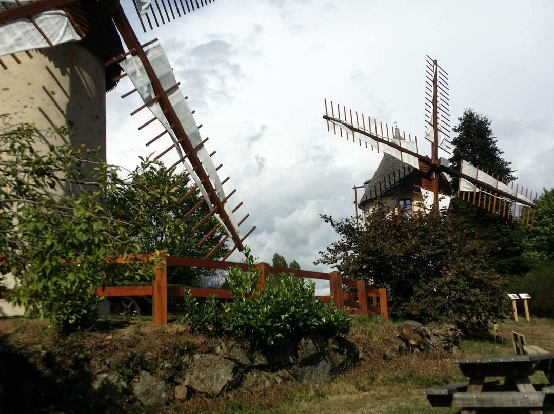 Moulins à Vent Jumeaux du Terrier Marteau景点图片