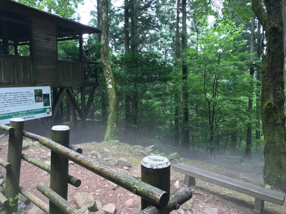 Kazaana - Kamihayashi Forest Park-东温市必去景点