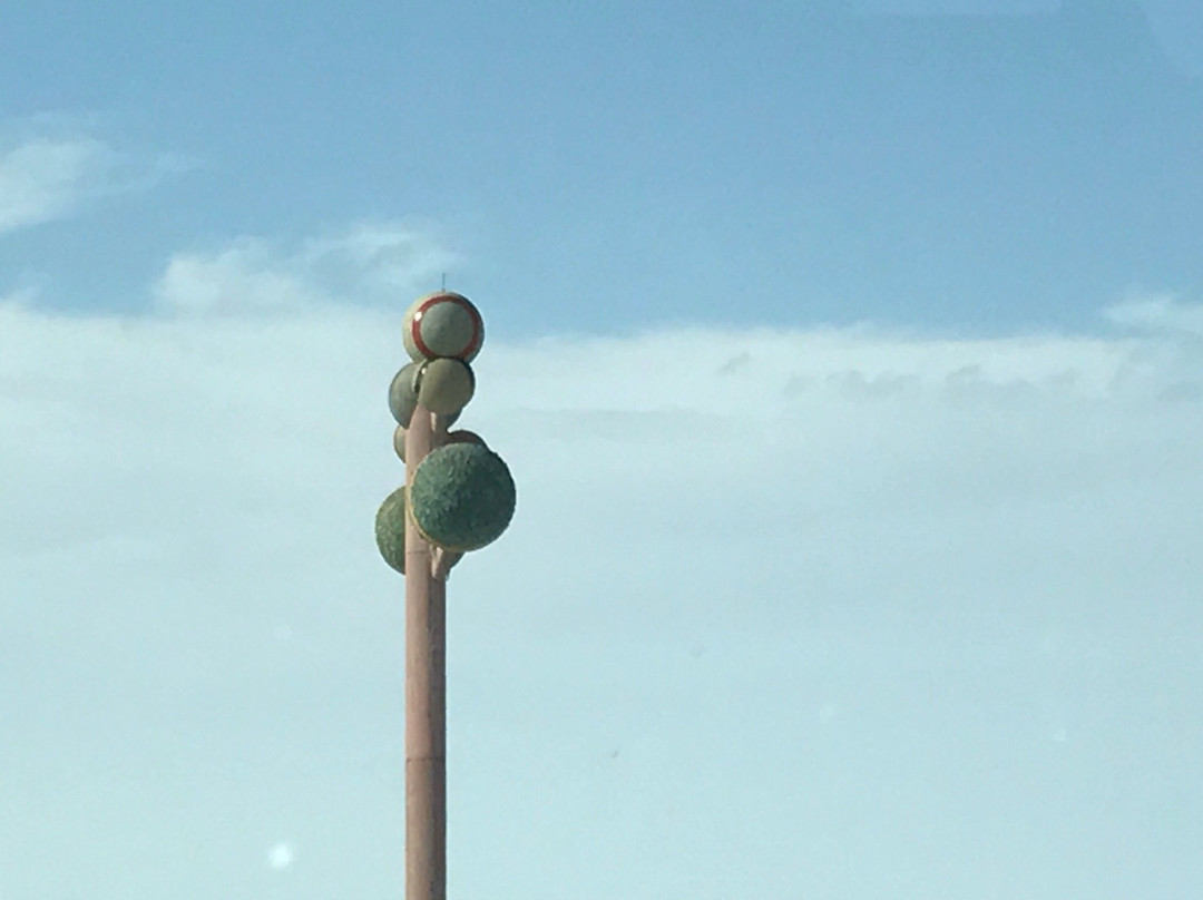 Metaphor - Tree of Utah-温多弗必去景点