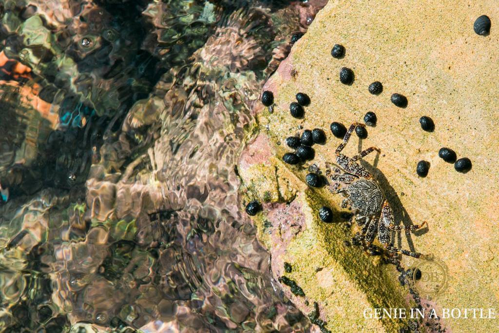 Joyuda-Cabo Rojo必去景点
