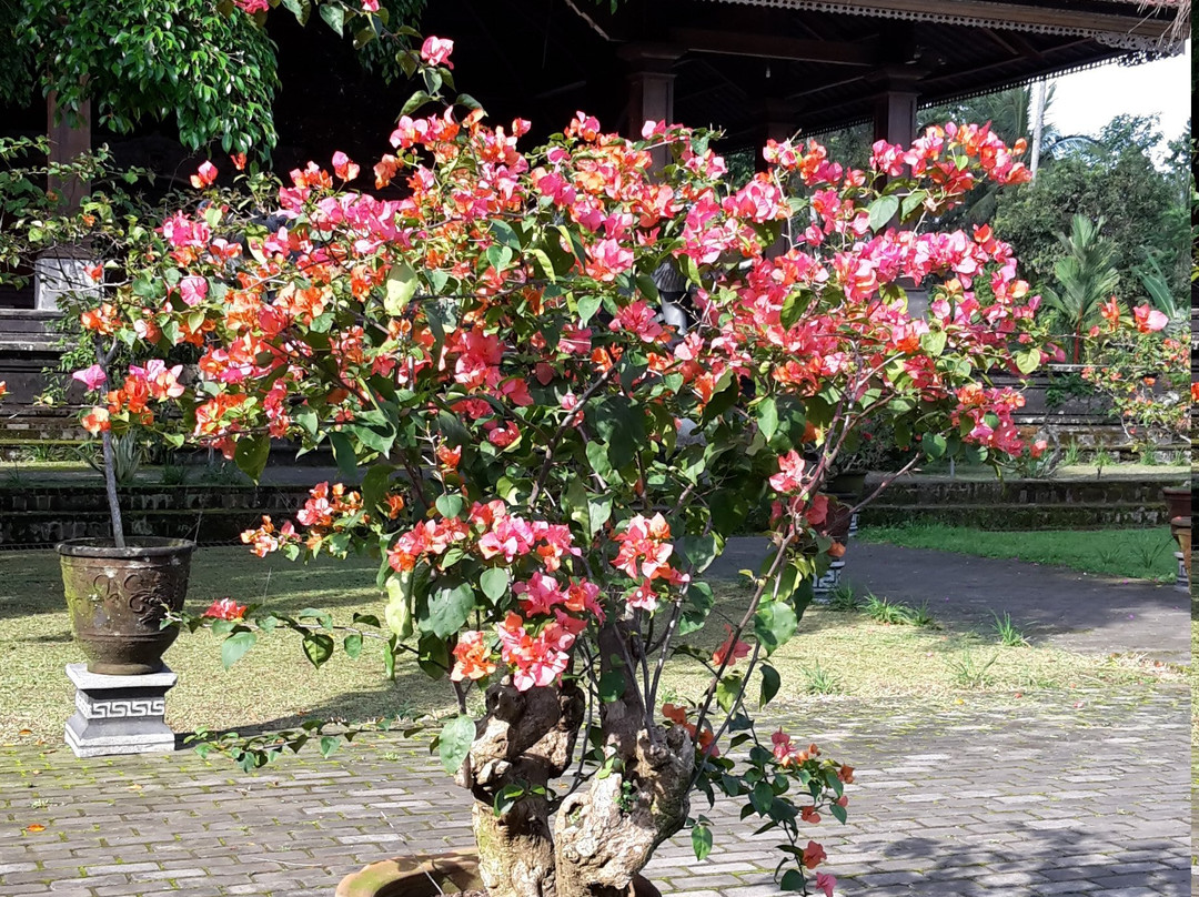 Pura Mandara Giri Semeru Agung-Lumajang必去景点