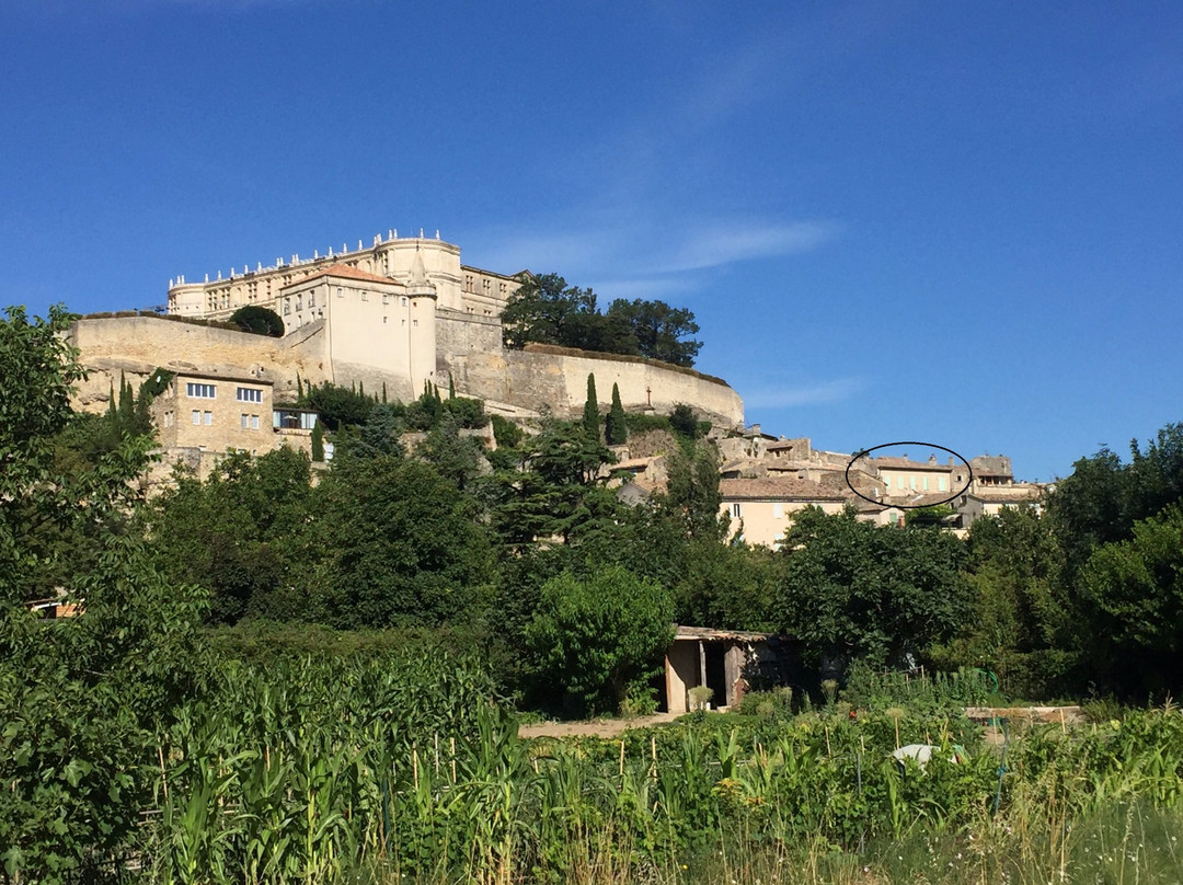 La Vie de Château主图