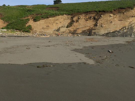 Fossil Beach-Kodiak必去景点