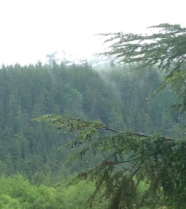 Whale Pass Library-凯奇坎必去景点