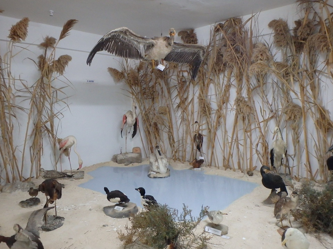 The Museum of Natural History-Pomos必去景点