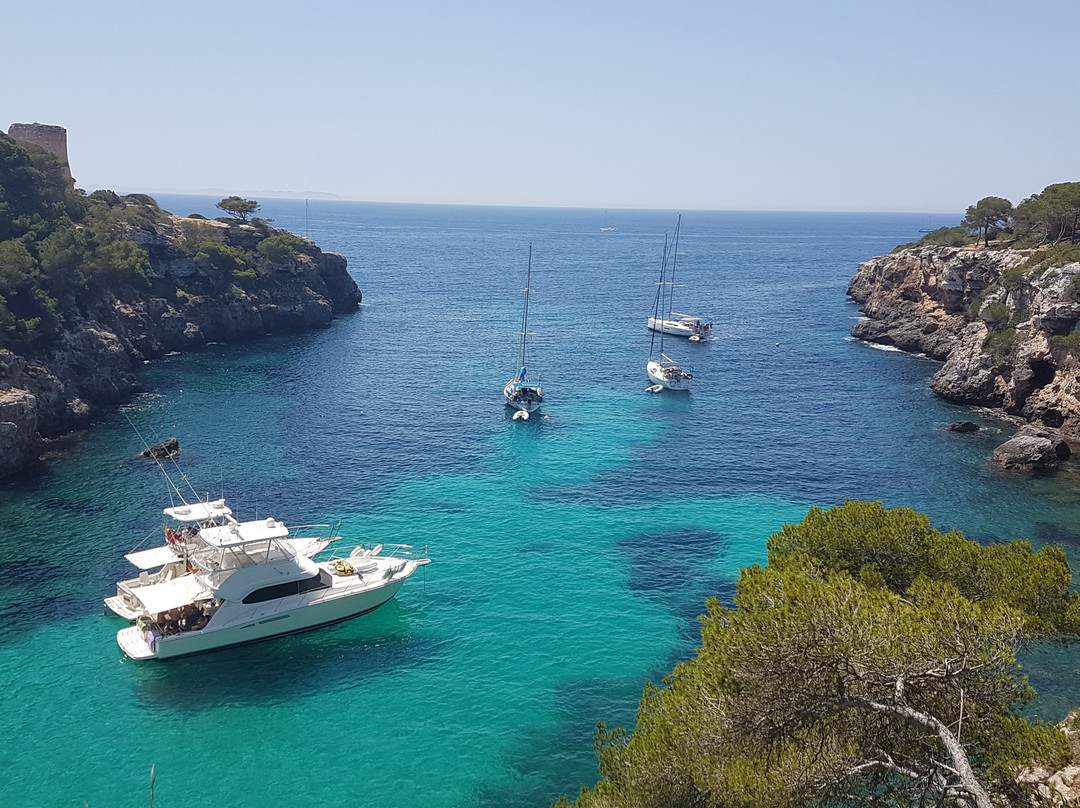 Cala Pi旅游攻略图片