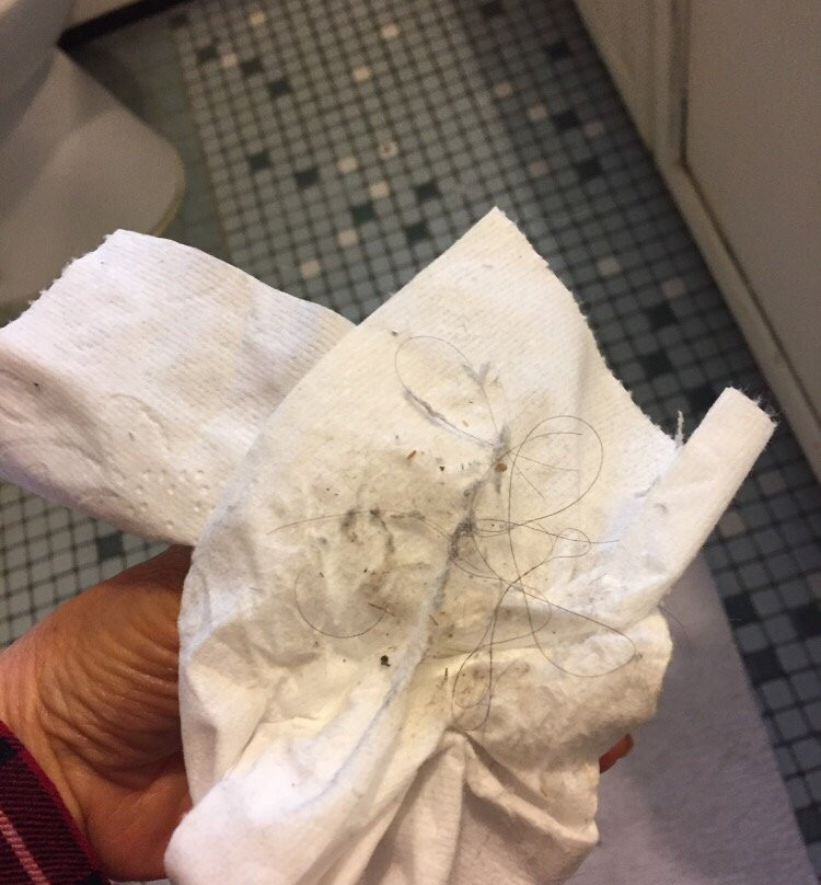 Stockbridge Ramsdell House on Hudson主图