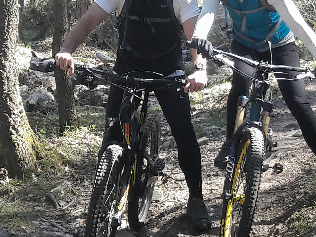 TrackMTB-马德里必去景点
