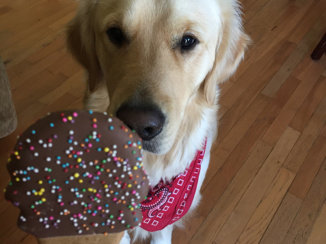 Decadent Dogs-南黑文必去景点