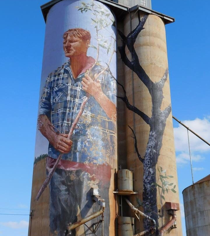 Patchewollock Art Silo-Patchewollock必去景点