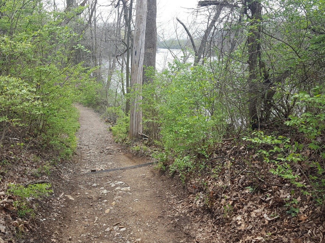 St. Patrick's County Park景点图片