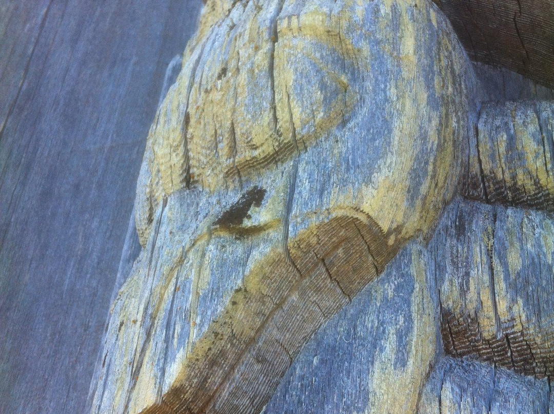 Skidegate-海达瓜(夏洛特皇后群岛)必去景点