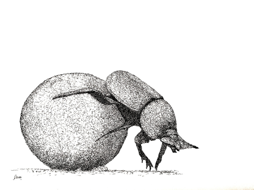 Kingfisher Gallery-霍德斯普鲁特必去景点