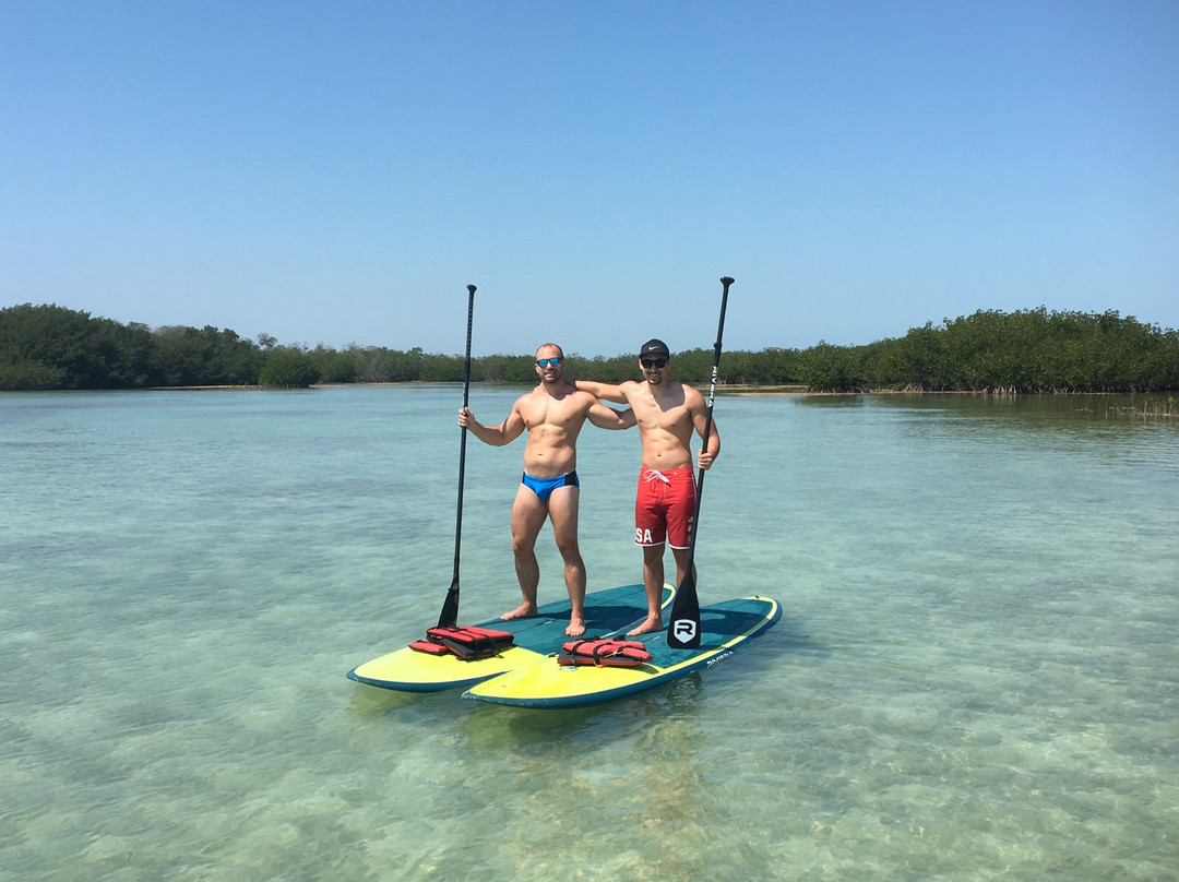 Nomadic SUP Paddleboard Eco Tours-基韦斯特必去景点