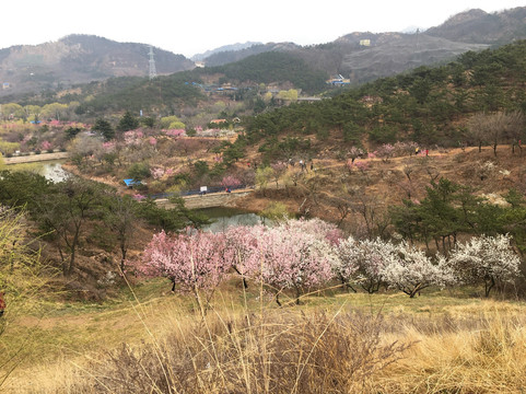 十梅庵公园-青岛市必去景点