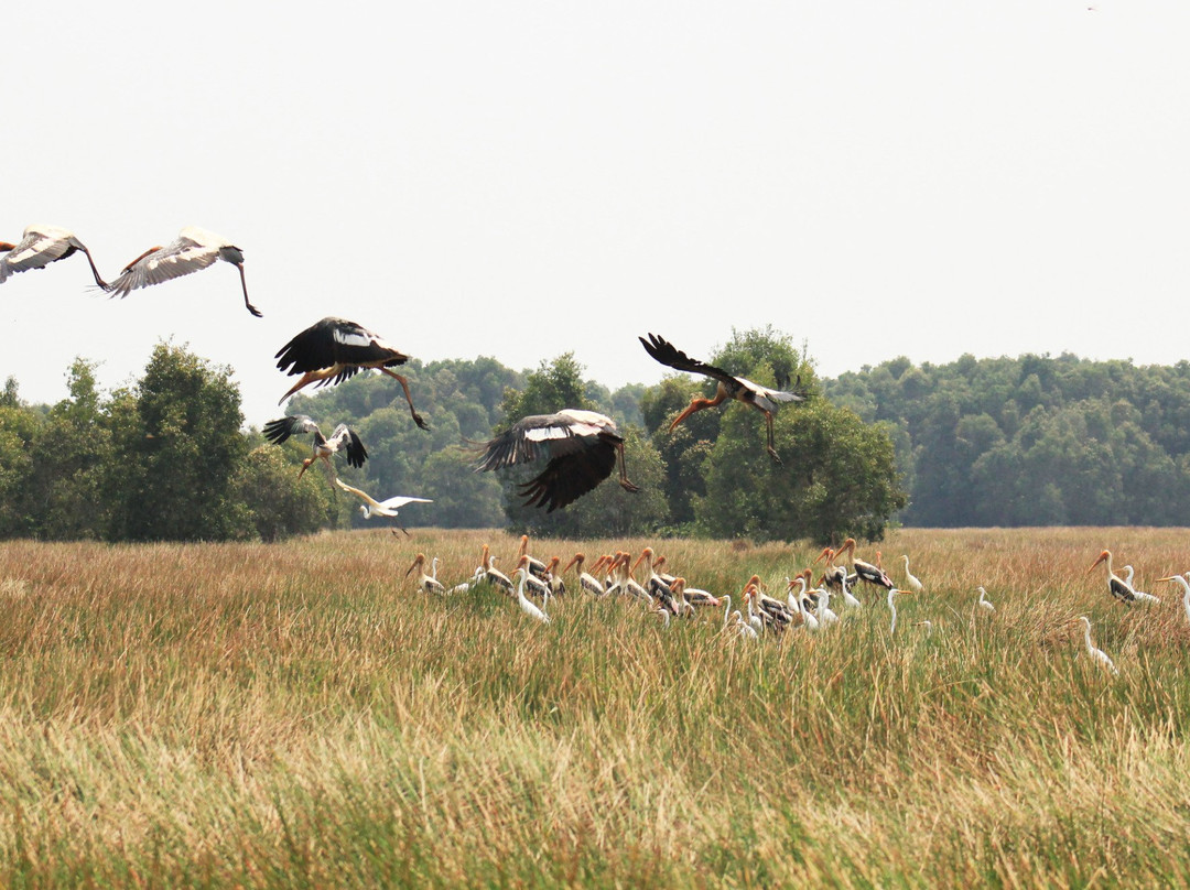Tram Chim National Park-Cao Lanh必去景点