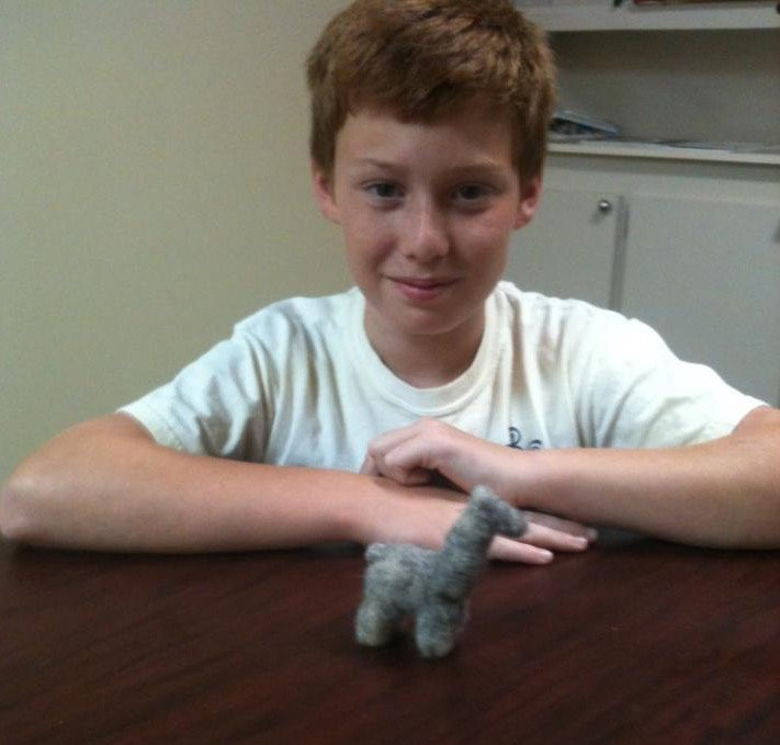 Zena Suri Alpacas-Jay必去景点