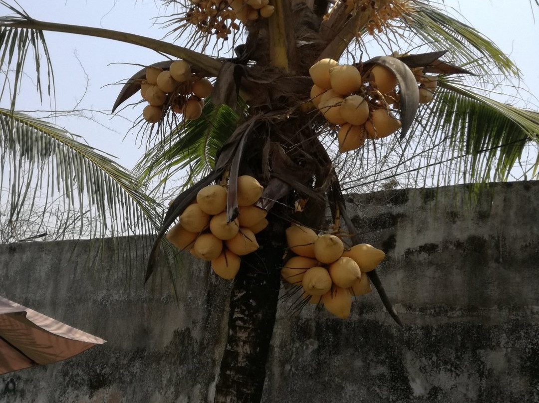 La Villa de Kribi主图