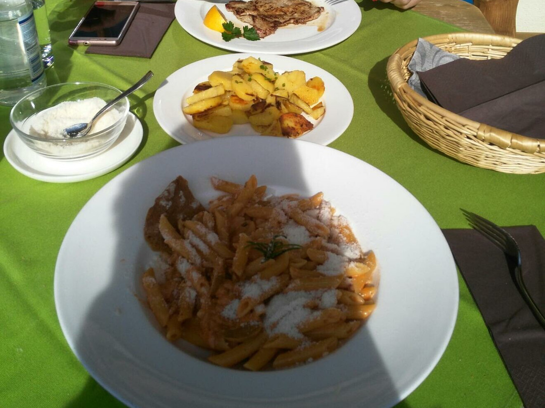 Moso in Passiria酒店住宿-Residence Ristorante Edelweiss