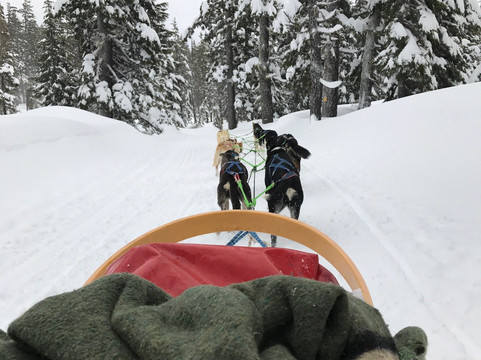 Oregon Trail of Dreams-本德必去景点