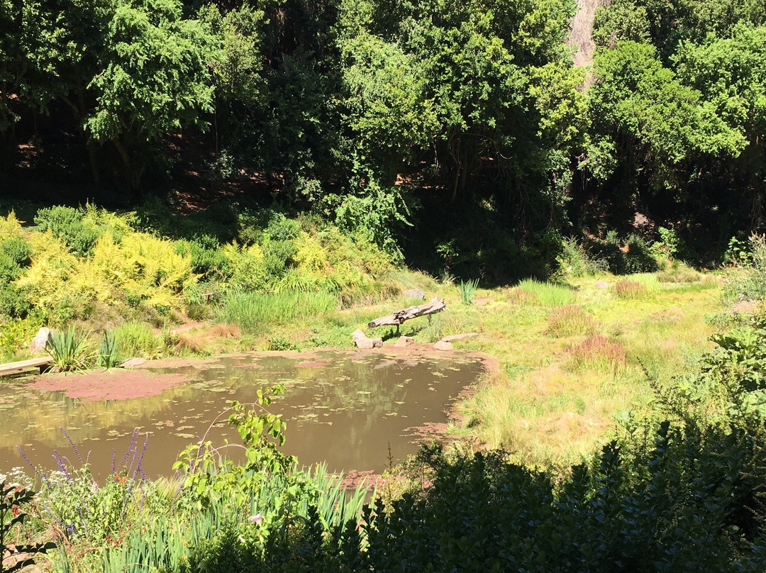 Yali Explora-Santo Domingo必去景点