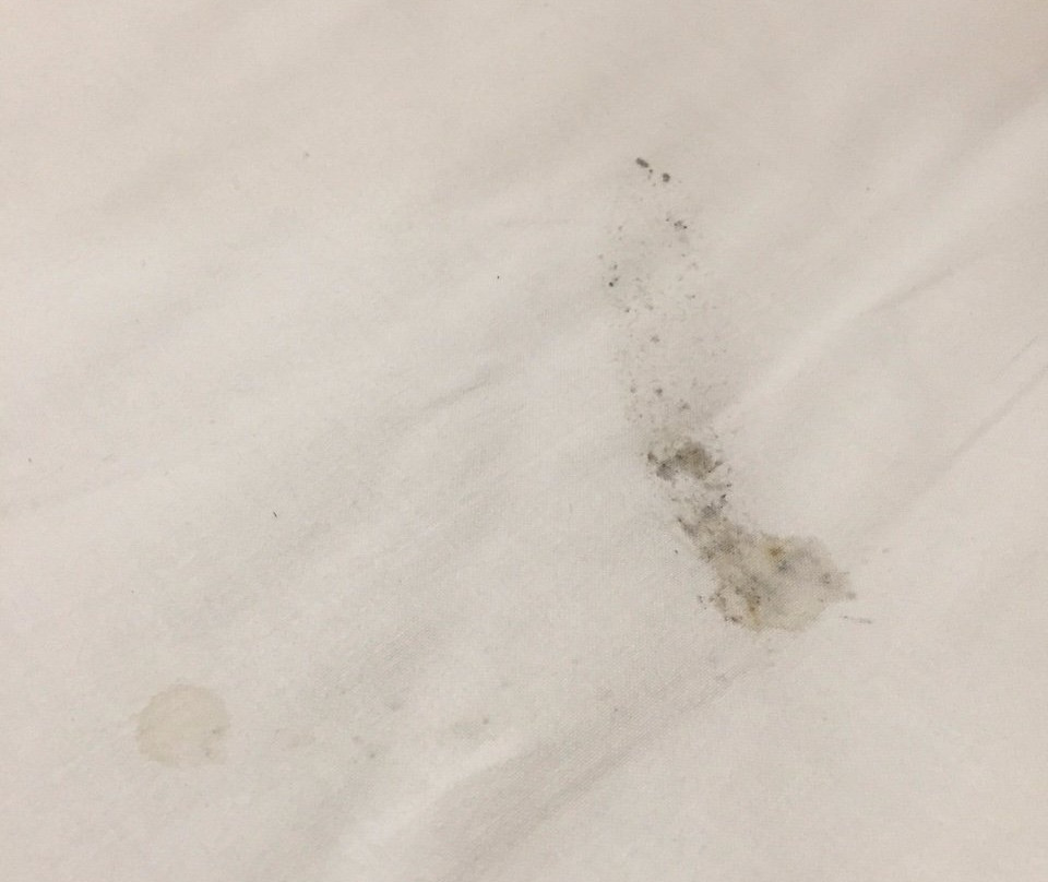 Tenterfield Bowling Club & Motor Inn主图