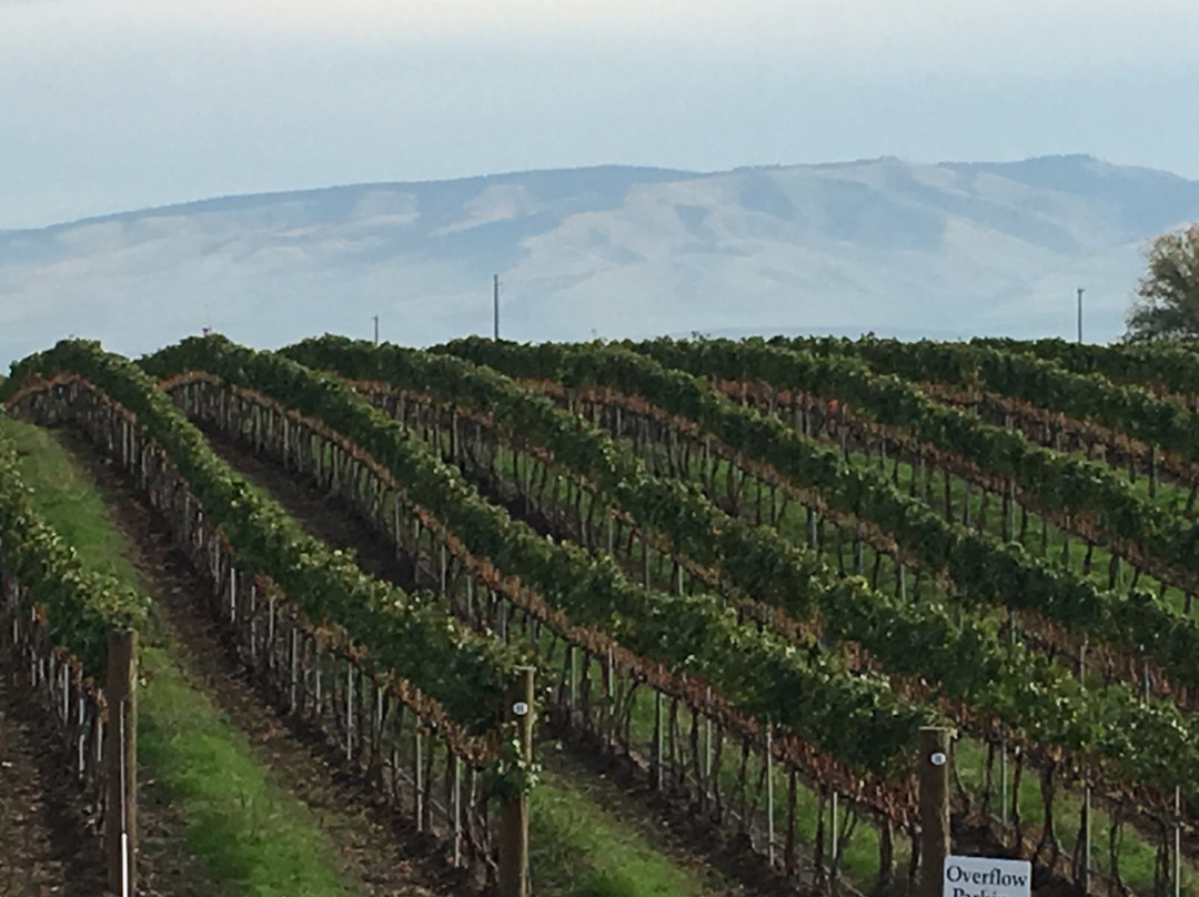 Main Street Drivers-斯坦福必去景点