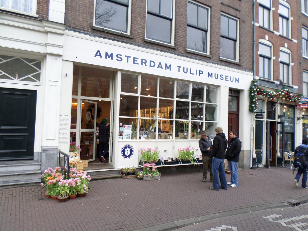 阿姆斯特丹郁金香博物馆景点图片