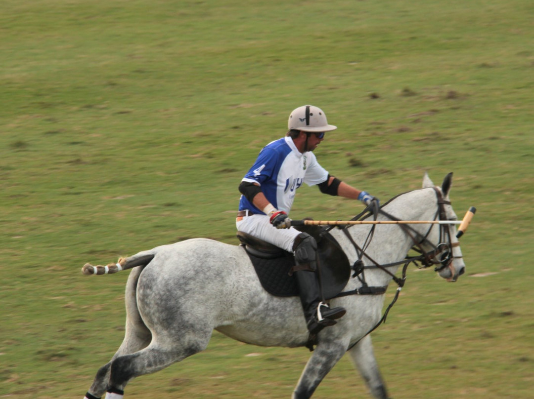 The Villages Polo Club-群村必去景点