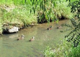 Blind Creek Trail-旺加拉塔必去景点