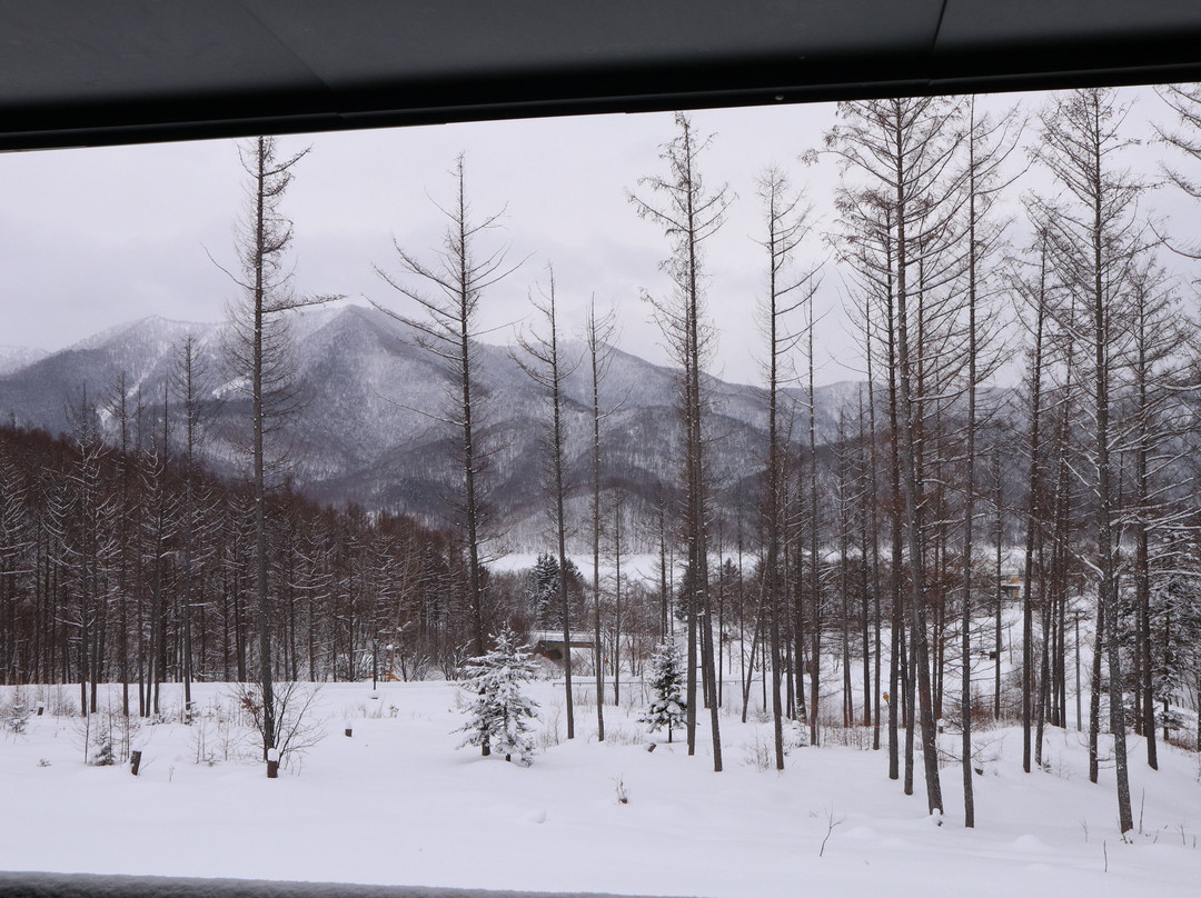 落叶松金山湖酒店主图
