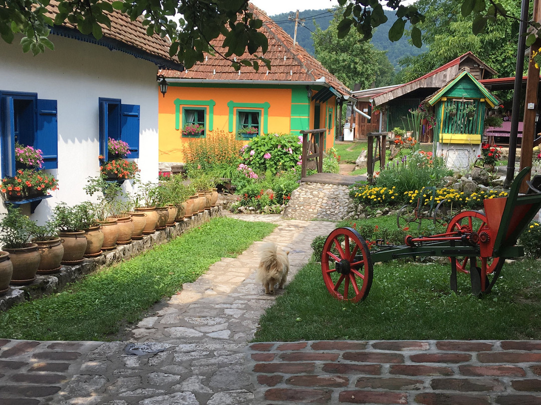 Terzića avlija Ethno Park景点图片