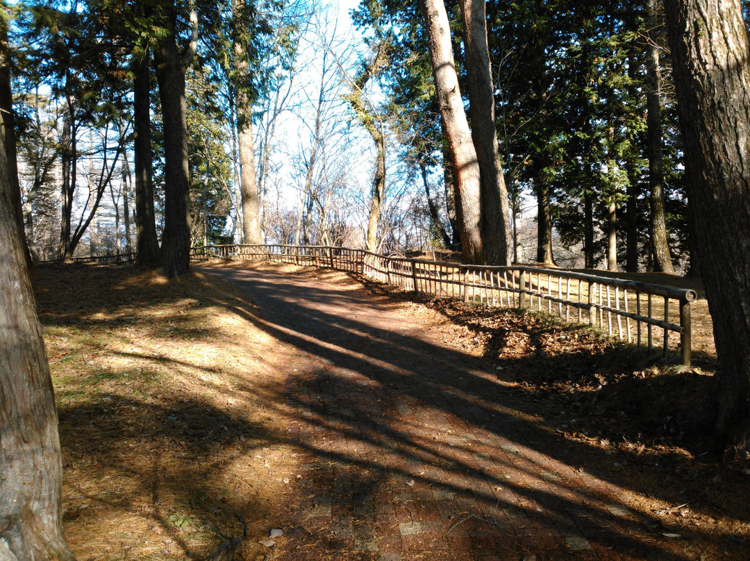 Yamanakako Bungaku no Mori Park景点图片
