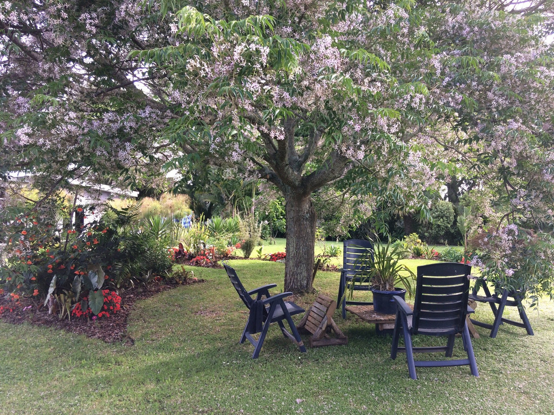 Karma Guesthouse主图