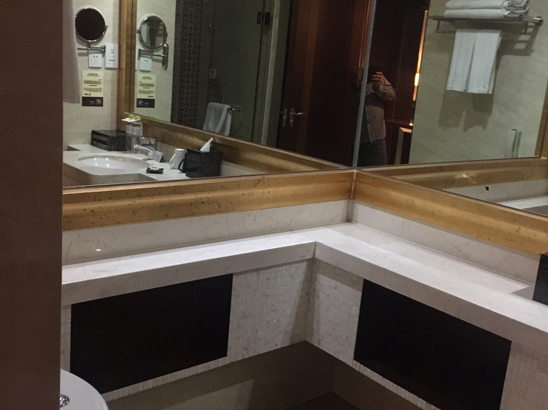 伯豪华府大酒店主图