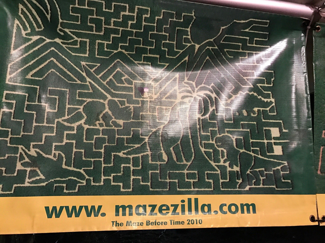 Mazezilla景点图片