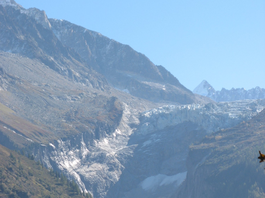 Reserve naturelle des Aiguilles Rouges-霞慕尼必去景点