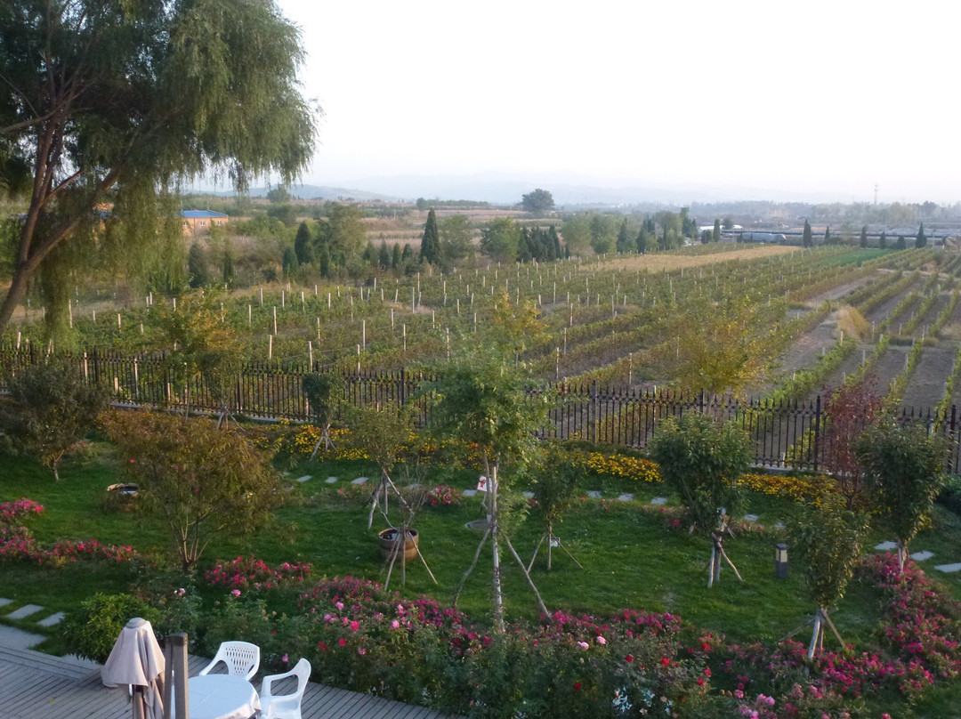 怡园酒庄-太谷县必去景点